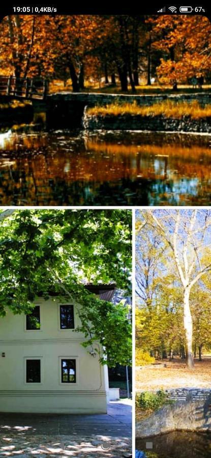 Keti 1 Lägenhet Belgrad Exteriör bild